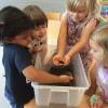 Miss Maija brought in some toads to look at!