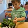 Florist workshop to make a fairy garden